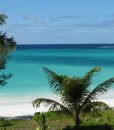 view-beach