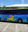 Noumea Transport