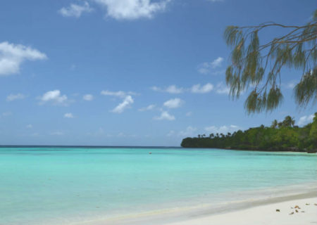 lifou