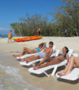 tenia-island