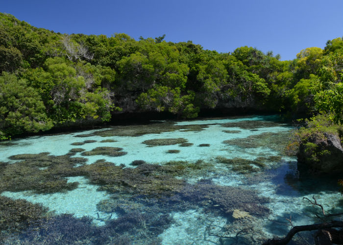 Guided Tour of Mare - Noumea Discovery - New Caledonia